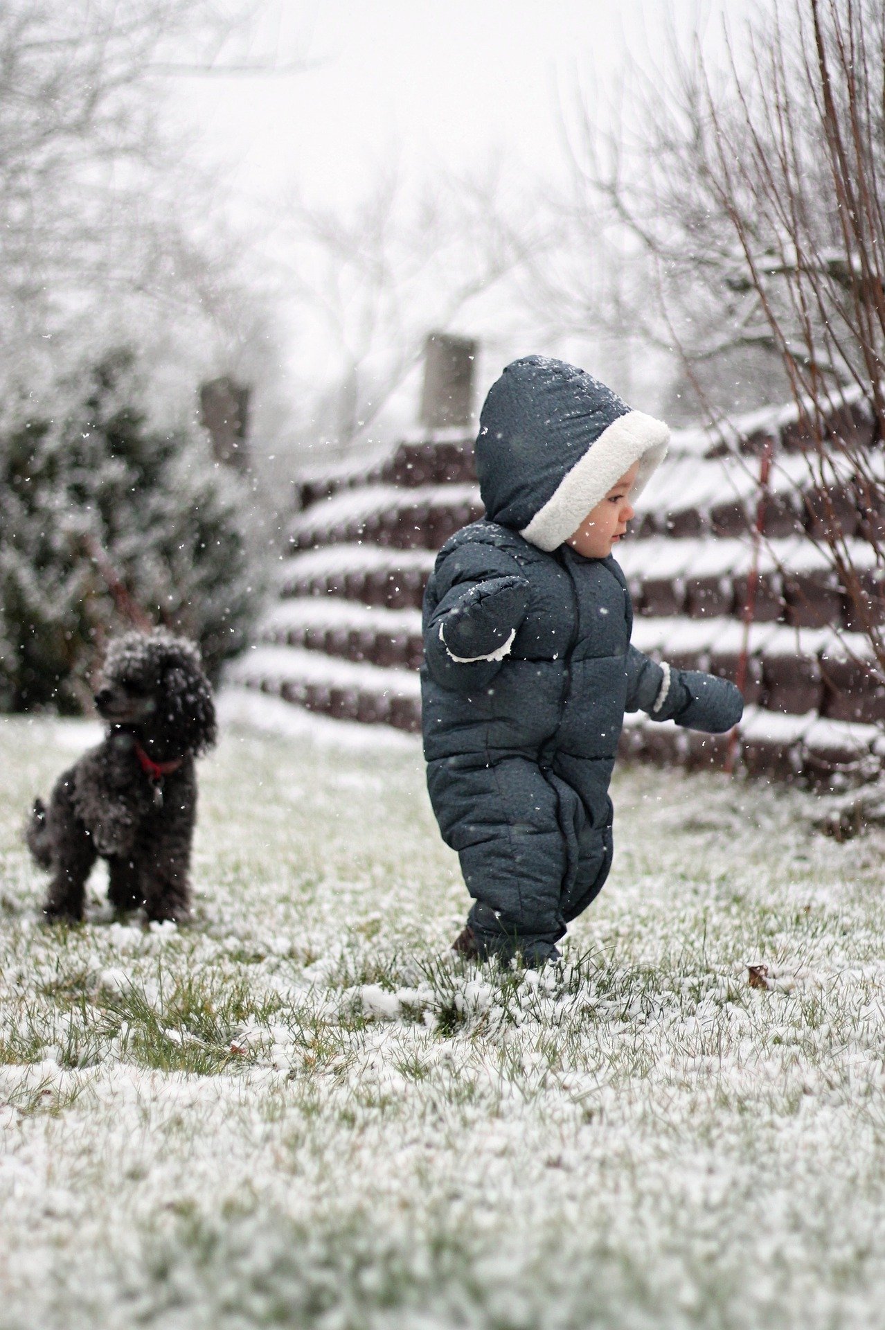 picture of young toddler in snow suit playing with dog