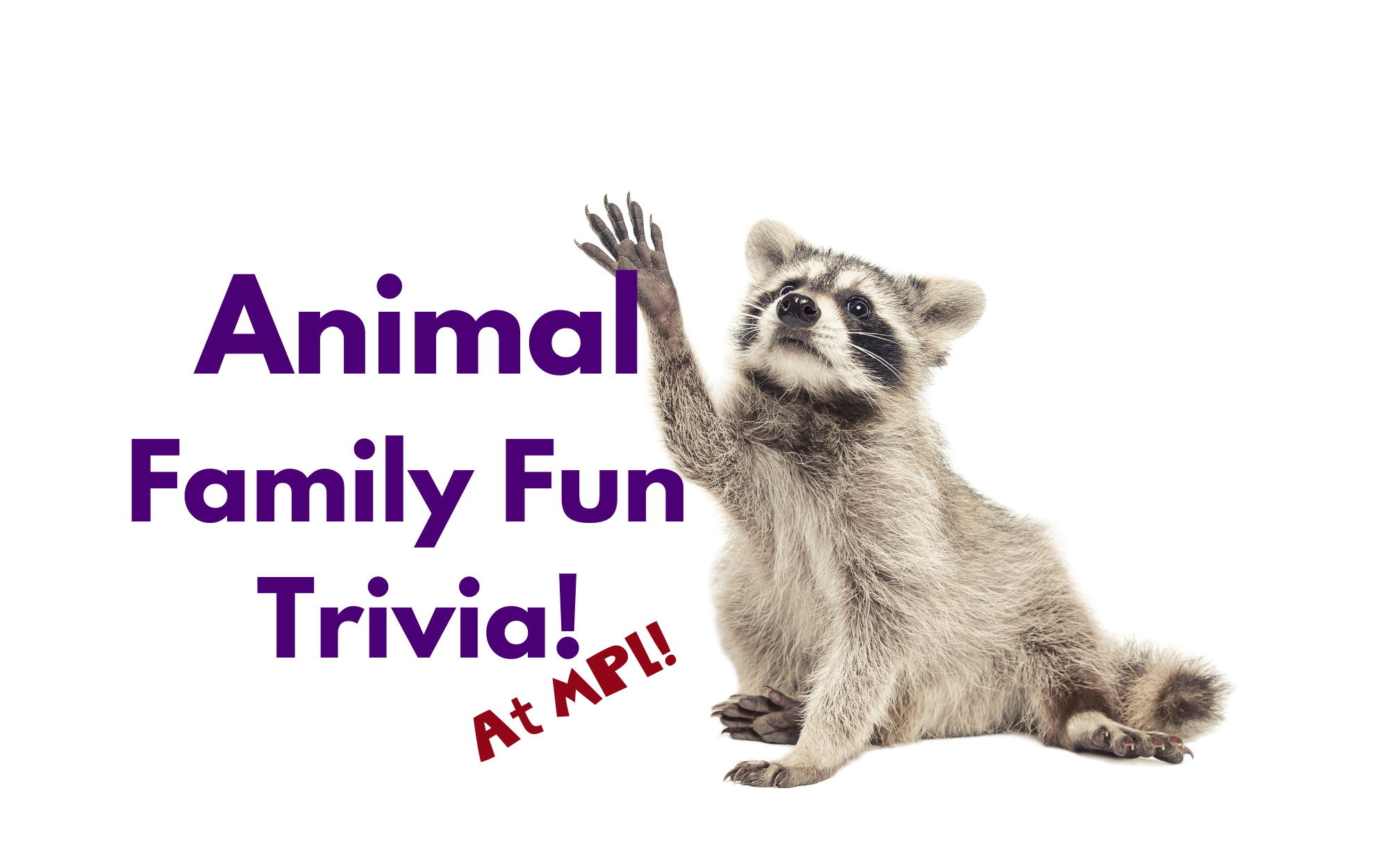 Family Fun Animal Trivia Night! | Manhattan Public Library