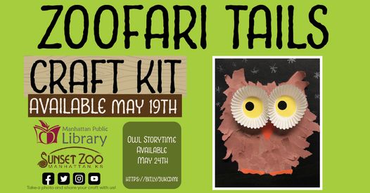 Owl craft