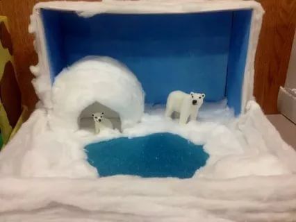 Photo of polar bear diorama