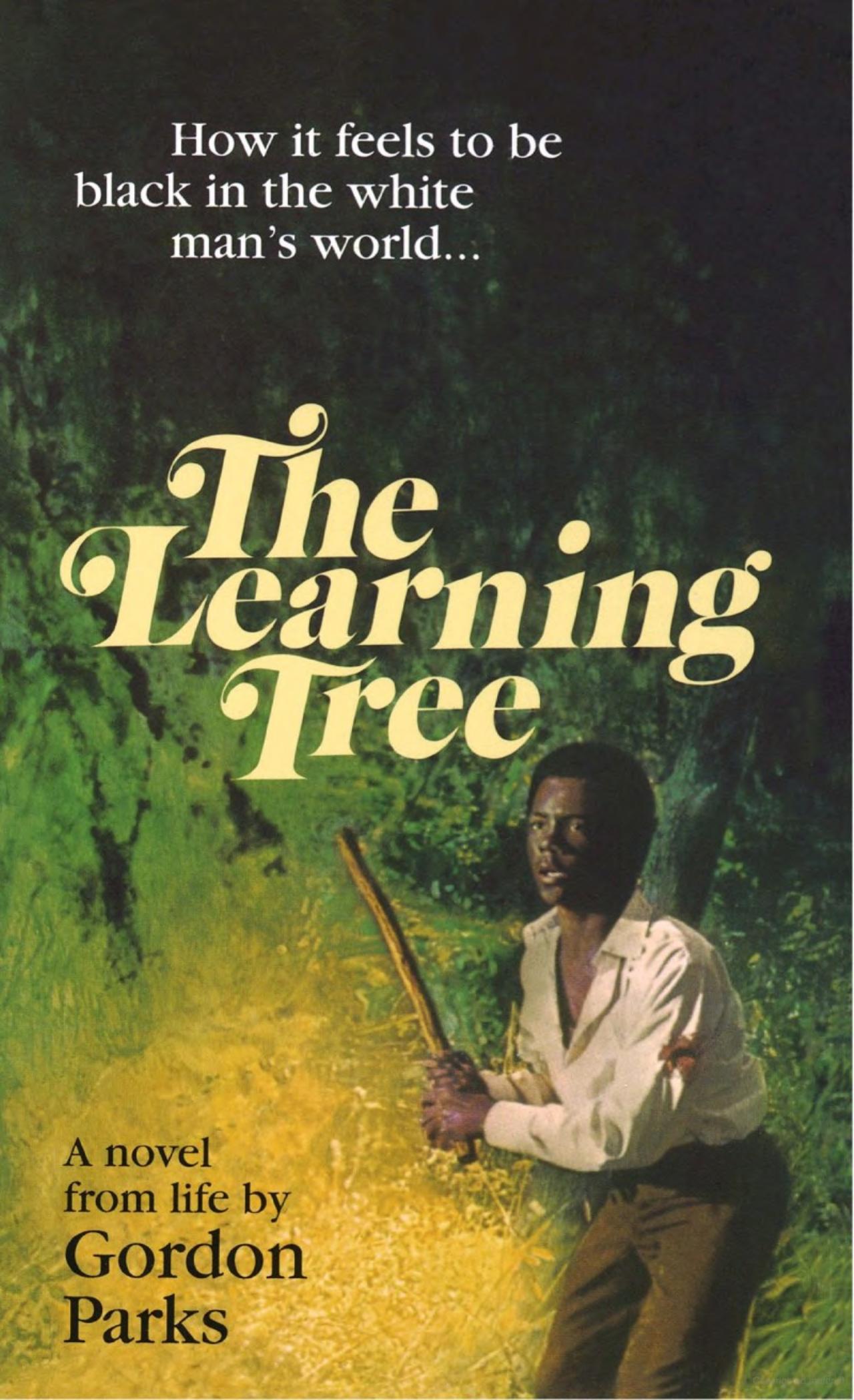 The Learning Tree by Gordon Parks book cover