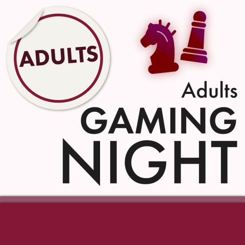 Adults Gaming Night
