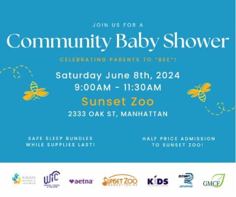 Community Baby Shower graphic