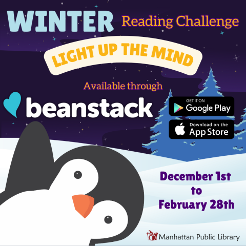 Winter Reading Challenge graphic